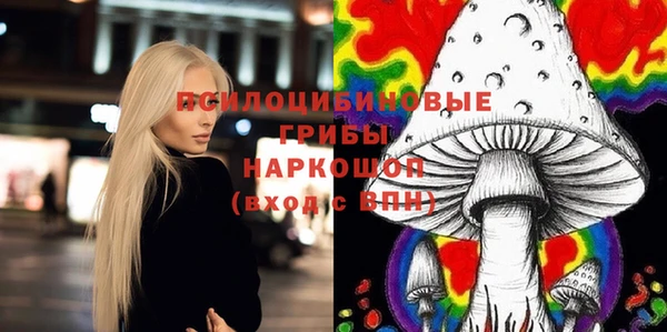 а пвп мука Алзамай