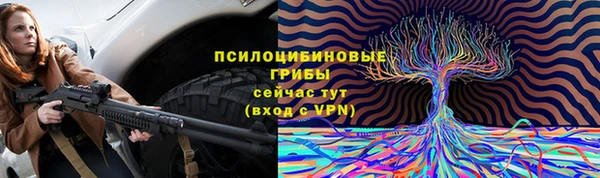 а пвп мука Алзамай