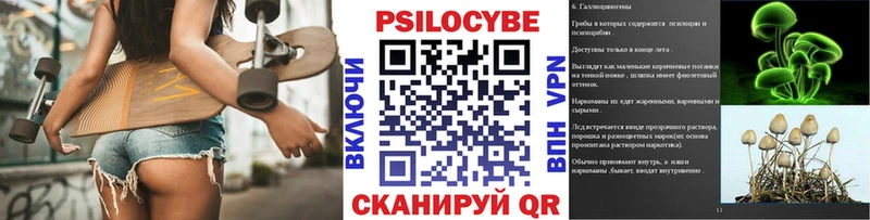 где можно купить наркотик  Завитинск  kraken ССЫЛКА  Псилоцибиновые грибы ЛСД 